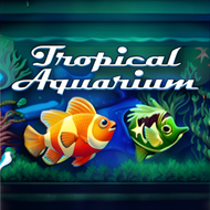 Tropical Aquarium