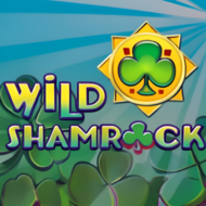 Wild Shamrock